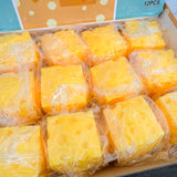 Cheese Square Squishy Toy