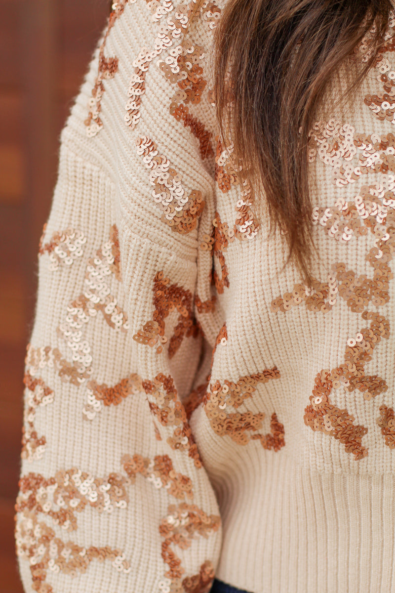 Embellished Knit Sweater-Beige