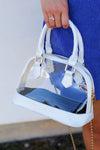 The Best Clear Purse