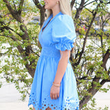 Darling Details Dress