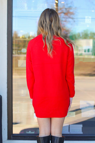 Newest Sweater Dress