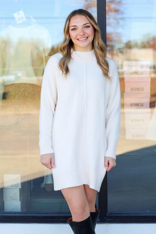 Newest Sweater Dress