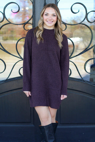 Newest Sweater Dress