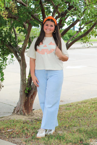 Gingham Jack O' Lantern Crop Tee