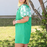 Embroidered Floral Sleeve Dress