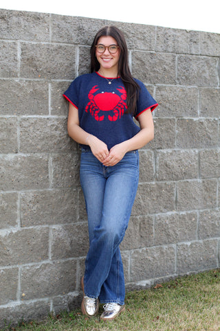 Coastal Crab Sweater