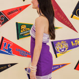 Tailgate Princess Dress