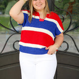 Feeling American Sweater Top