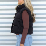 Cozy Season Puffer Vest