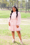 Simply Perfect Dress-Mauve